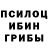Псилоцибиновые грибы GOLDEN TEACHER Alise Cry