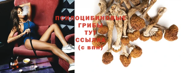 трава Алзамай